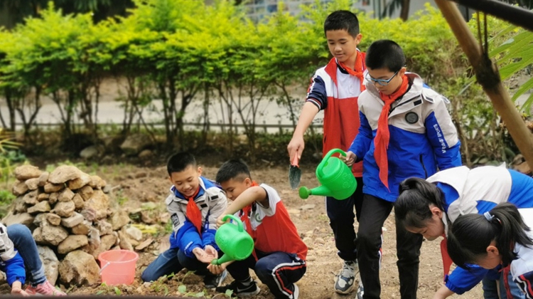 广州市荔湾区广雅小学与从化区良口镇第二小学开展城乡结对劳动教育活动_副本.jpg