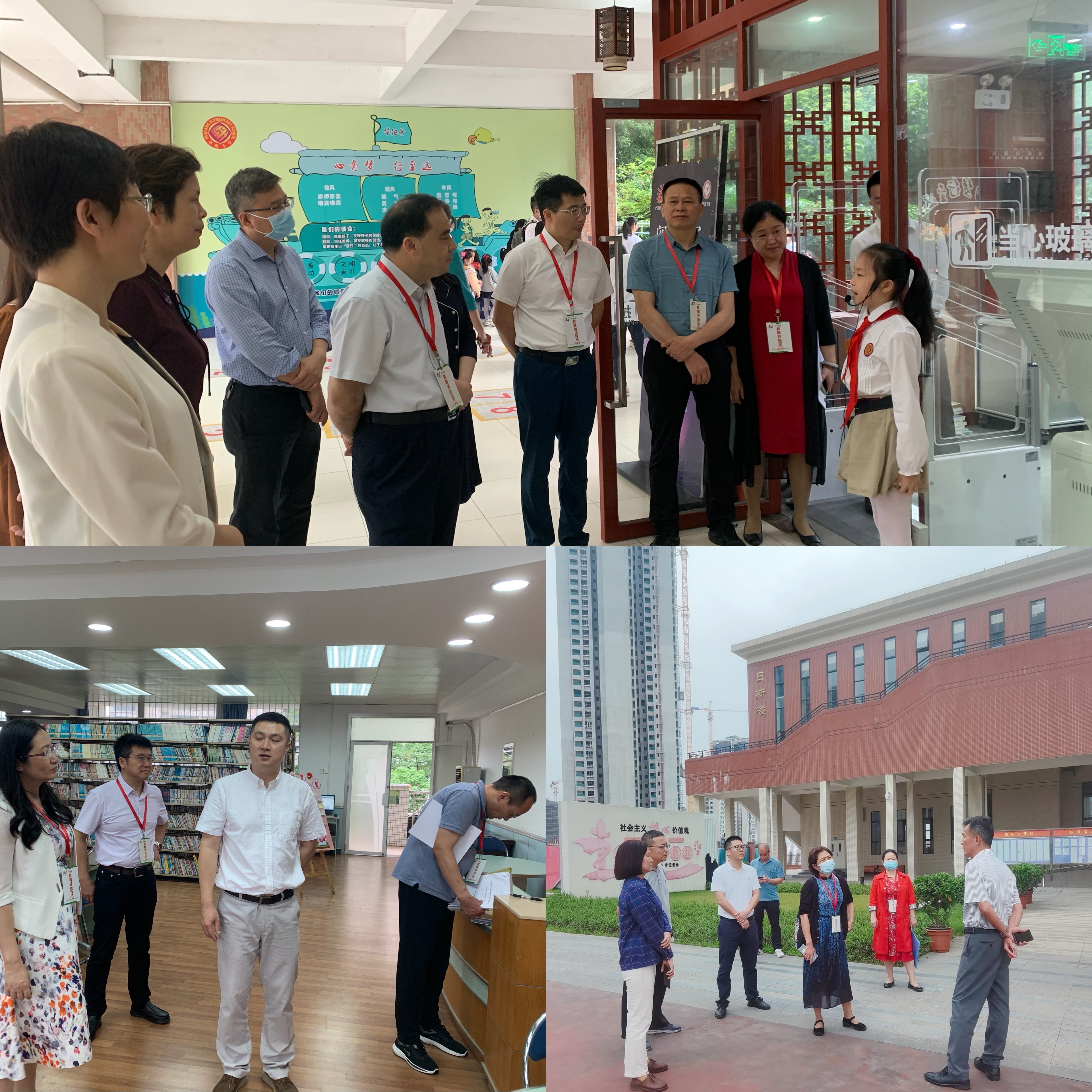 专家实地查看校园.jpg