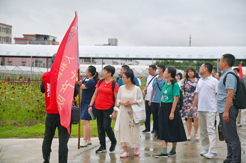 组织参训人员参观现代农业种植园地.jpg